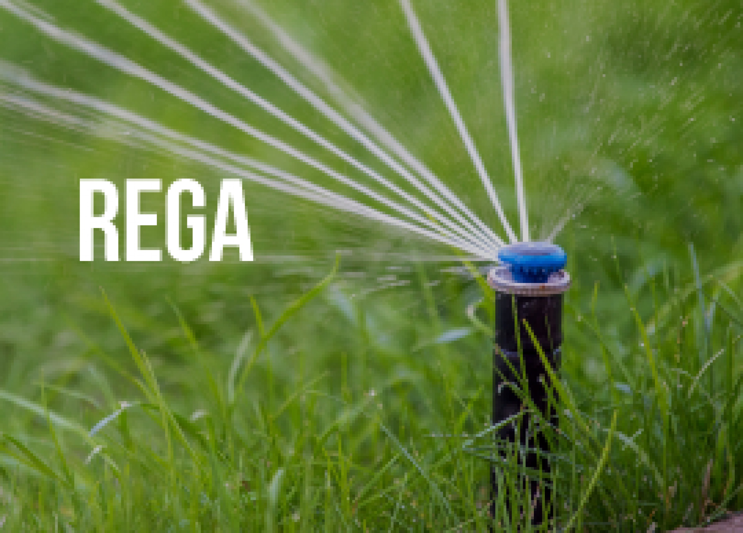 REGA