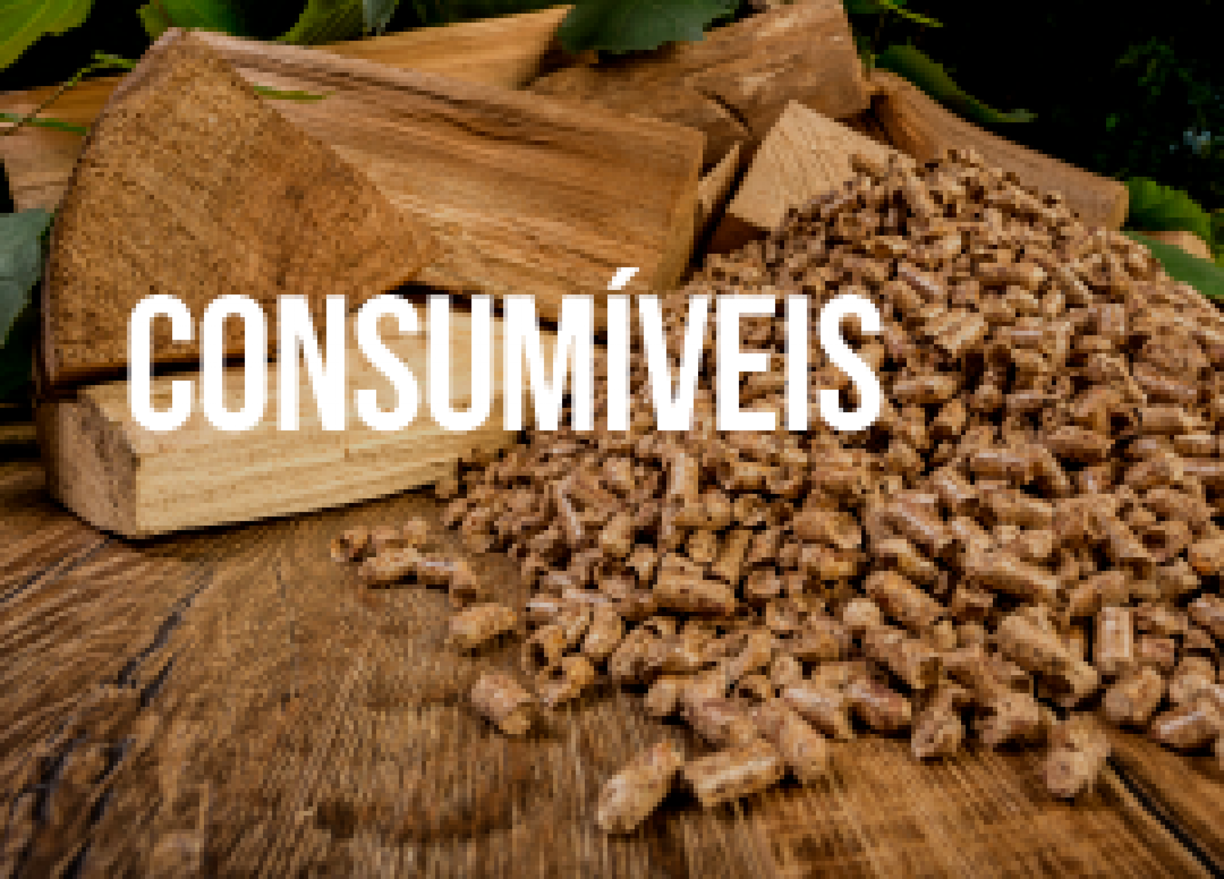 CONSUMIVEIS
