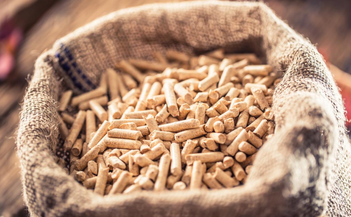 Tudo o que precisa saber sobre os pellets